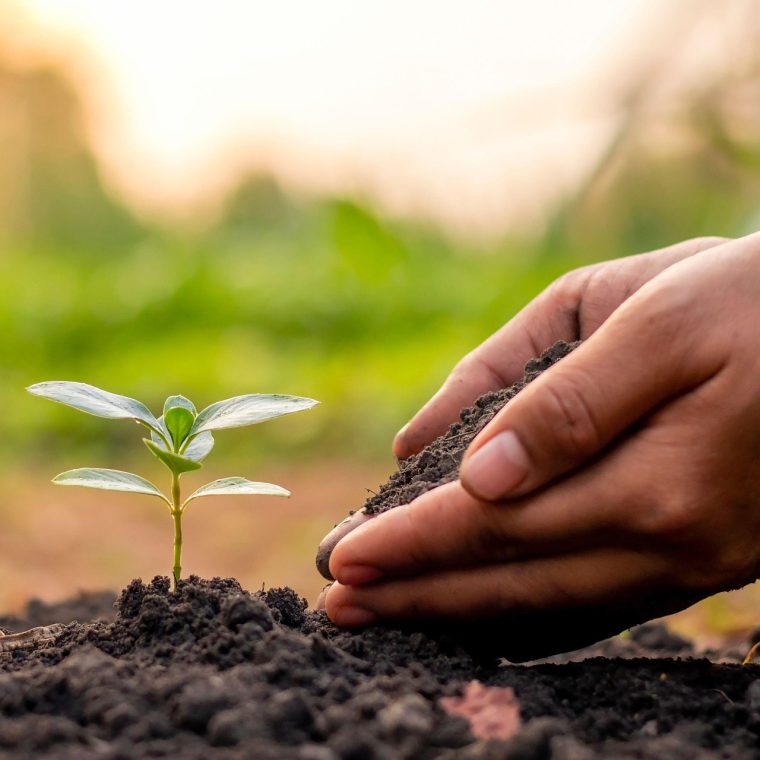 Bild aus Pixabay, Qualität besser